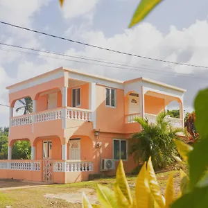  Pensión Happy Nest Dominica